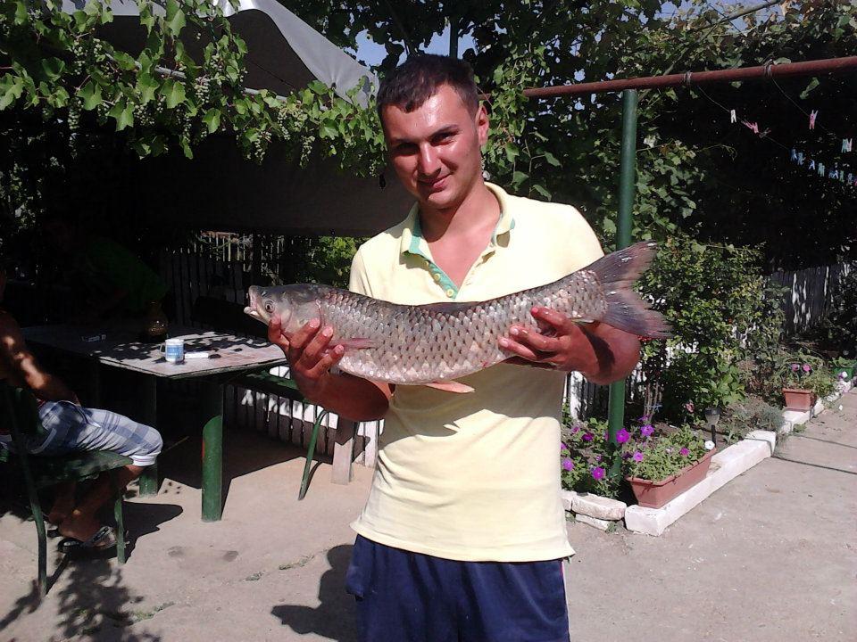 Balta Alunis - 251958173340426131270434942697n.jpg